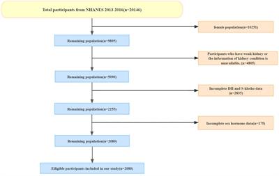 Testosterone does not mediate the correlation between dietary inflammation and serum klotho levels among males: insights from NHANES database